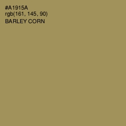 #A1915A - Barley Corn Color Image